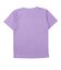 チャンピオン（CHAMPION）半袖Tシャツ ショーツ 上下セット CK-DSW05 220
