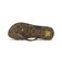 ディーシーシューズ（DC SHOES）3P-SLIP SE ビーチサンダル 26SPDW261605BBG