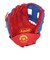 ウイルソン（Wilson）少年軟式用グラブ オールラウンド用 野球グローブ ジュニア キッズA200 EZ CATCH 左投げ用 WBW10135610
