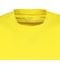デュアリグ（DUARIG）BASIC ドライプラス PBTMESH 半袖Tシャツ 6S0018-TRCT-863CD YEL