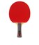 バタフライ（Butterfly）卓球ラケット シェイク タマス新入生セット2026 TMS26STX