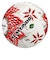 ミカサ（MIKASA）サッカーボール 5号球 検定球 サッカー国際公認球 貼り 大学連盟試合球 FT550D-RBS-JUFA