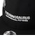 ニューエラ（NEW ERA）キャップ キッズ Youth 9FIFTY Tyrannosaurus ティラノサウルス 化石 14746963
