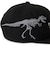 ニューエラ（NEW ERA）キャップ キッズ Youth 9FIFTY Tyrannosaurus ティラノサウルス 化石 14746963