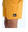 クイックシルバー（Quiksilver）ジュニア EVERYDAY VOLLEY ジャムボードショーツ 14インチ インナーショーツ付き 26SPEQBJV0…