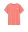 ザ・ノース・フェイス（THE NORTH FACE）ショートスリーブ フラワー グラフィック Tシャツ NTW32687 GP