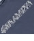 ドライプラス UVPBT PETAL 半袖Tシャツ CT6S0054-TR864-GRCD BGRY