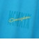 チャンピオン-ヘリテイジ（CHAMPION-HERITAGE）半袖Tシャツ C3-D336  325