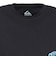クイックシルバー（Quiksilver）PALM HORIZON 半袖Tシャツ 26SPQST261610YBLK