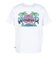 クイックシルバー（Quiksilver）PALM HORIZON ST 半袖Tシャツ 26SPQST261610YWHT