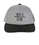 ライズ（RYZ）配色LPキャップ RZ20ST26SS0026 GRY