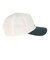 キャップ VP Hats Spicy Pickles