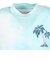 アバクロンビー&フィッチ（Abercrombie & Fitch）半袖プリントTシャツ 93AP24-W1T
