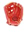 ウイルソン（Wilson）ソフトボール グラブ グローブ ウイルソンベア デュアル BEAR DUAL Lサイズ 右投 WBW104515