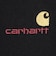 カーハート（CARHARTT）半袖 AMERICAN SCRIPT Tシャツ I02995689XX26SS