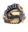 ウイルソン（Wilson）ソフトボール用グラブ グローブ BEAR DUAL Mサイズ WBW104511