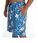 クイックシルバー（Quiksilver）BOTANICAL ジャムボードショーツ 20インチ QBS262004 BLU
