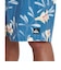 クイックシルバー（Quiksilver）BOTANICAL ジャムボードショーツ 20インチ QBS262004 BLU