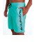 クイックシルバー（Quiksilver）MW BEACHSHORT 19インチ ボードショーツ 26SU QBS262002 TBL