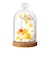 リーメント（Re-Ment）miffy Terrarium たのしいまいにち RE 209425