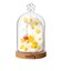 リーメント（Re-Ment）miffy Terrarium たのしいまいにち RE 209425