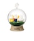 リーメント（Re-Ment）miffy Terrarium たのしいまいにち RE 209425