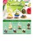 リーメント（Re-Ment）miffy Terrarium たのしいまいにち RE 209425