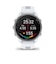 ガーミン（GARMIN）ランニングウォッチ Forerunner 170 Music 010-03920-43