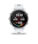 ガーミン（GARMIN）ランニングウォッチ Forerunner 170 010-03920-41