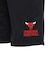 エヌビーエー（NBA）バスケットボールウェア ユース メッシュ ショートパンツ PK2B73AAU-BULLS