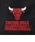 エヌビーエー（NBA）バスケットボールウェア ユース メッシュ ショートパンツ PK2B73AAU-BULLS
