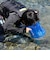 リーフツアラー（REEFTOURER）水中観察 膨らましのぞきメガネ 24 RA0502 BL