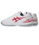 アシックス（ASICS）サッカートレーニングシューズ サッカーシューズ DS LIGHT CLUB TF ワイド 1103A123.102