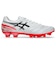 アシックス（ASICS）サッカースパイク サッカーシューズ DS LIGHT PRO ワイド 1103A122.102