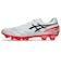 アシックス（ASICS）サッカースパイク サッカーシューズ DS LIGHT PRO ワイド 1103A122.102