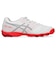 アシックス（ASICS）ジュニアサッカートレーニングシューズ DS LIGHT JR GS TF 1104A053.103