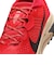 ナイキ（NIKE）ランニングシューズ トレランシューズ ACG ゼガマ トレイル HV8113-600