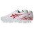 アシックス（ASICS）サッカースパイク サッカーシューズ DS LIGHT CLUB ワイド 1103A128.102
