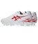 アシックス（ASICS）サッカースパイク サッカーシューズ DS LIGHT CLUB ワイド 1103A128.102