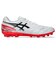 アシックス（ASICS）サッカースパイク 人工芝用 サッカーシューズ DS LIGHT PRO AG 1103A127.102