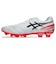 アシックス（ASICS）サッカースパイク サッカーシューズ DS LIGHT PRO 1103A126.102