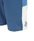 ボルコム（Volcom）水着 DUMBRECK BOARDSHORT 19 A0802302-BLU