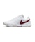 ナイキ（NIKE）オールコート用 テニスシューズ レディース ナイキコート ライト 4 HC FD6575-114