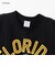 チャンピオン-ヘリテイジ（CHAMPION-HERITAGE）リバースウィーブ 9.4oz DISNEY 半袖Tシャツ C3-D356 090