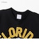 チャンピオン-ヘリテイジ（CHAMPION-HERITAGE）リバースウィーブ 9.4oz DISNEY 半袖Tシャツ C3-D356 090