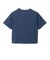 チャンピオン-ヘリテイジ（CHAMPION-HERITAGE）ハートグラフィック 半袖Tシャツ CW-E301 370