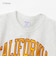 チャンピオン-ヘリテイジ（CHAMPION-HERITAGE）リバースウィーブ 9.4oz DISNEY 半袖Tシャツ C3-D357 810