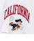 チャンピオン-ヘリテイジ（CHAMPION-HERITAGE）リバースウィーブ 9.4oz DISNEY 半袖Tシャツ C3-D357 010