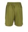 バスケットボールウェア STANDARD SHORTS バスパン 2309-AND-ACT0029 GRN