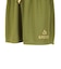 バスケットボールウェア STANDARD SHORTS バスパン 2309-AND-ACT0029 GRN